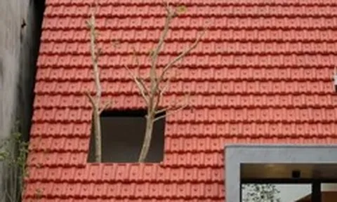 Ngôi nhà mái dốc lớn với khoảng sân mở