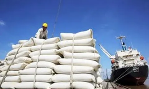 Giá gạo xuất khẩu duy trì ở mức cao