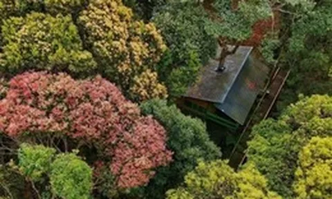 Khu nhà trên cây ở Măng Đen lọt vào đề cử Làng du lịch tốt nhất thế giới