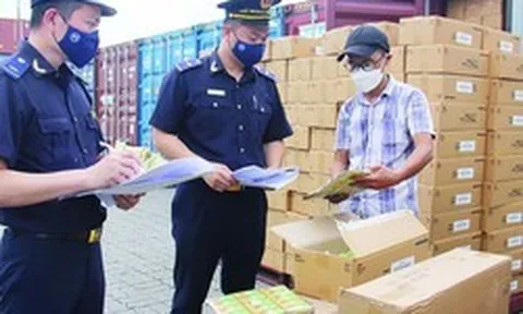 Phân cấp thẩm quyền kiểm tra chuyên ngành lĩnh vực hải quan, kế toán, kiểm toán, chứng khoán, bảo hiểm