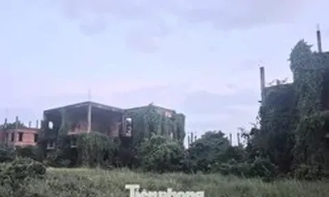 Dự án nghìn tỷ 'đắp chiếu', siêu đô thị thành... vườn sắn