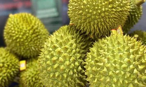 Không phải Thái Lan, một quốc gia Đông Nam Á tăng tốc xuất khẩu sầu riêng sang Trung Quốc, thời gian giao hàng chỉ còn 5 ngày