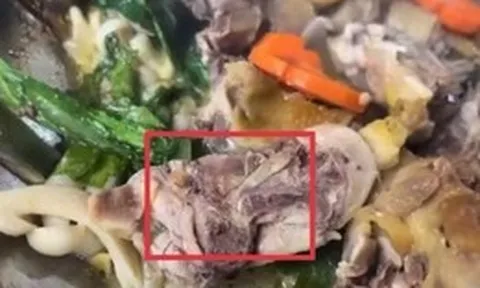 Tạm đình chỉ cơ sở nấu ăn bị tố có giòi trong món gà