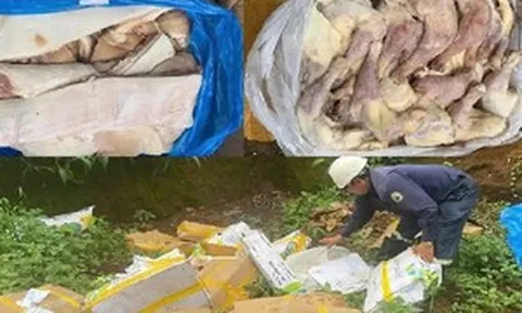 Phát hiện gần 1 tấn thịt heo, đùi gà bốc mùi trong kho đông lạnh, chủ cơ sở không xuất trình được giấy tờ