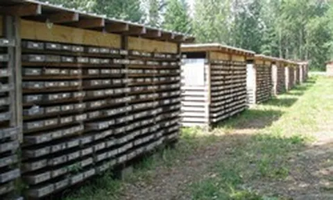 Khoan sâu 76m xuống lòng đất, phát hiện quặng vàng dày 252m - hé mở tiềm năng của khu mỏ tỷ đô