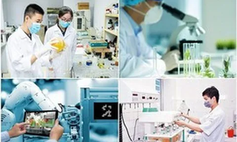 Xử lý khó khăn trong lập, phân bổ, giao dự toán cho hoạt động khoa học, công nghệ và đổi mới sáng tạo