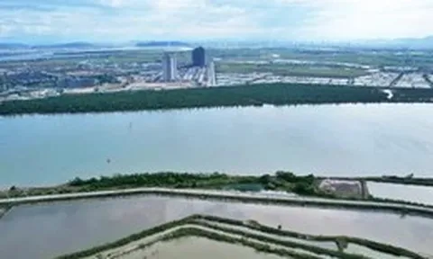 Chính phủ giao Hà Tĩnh làm chủ quản xây cầu Bến Thủy 3