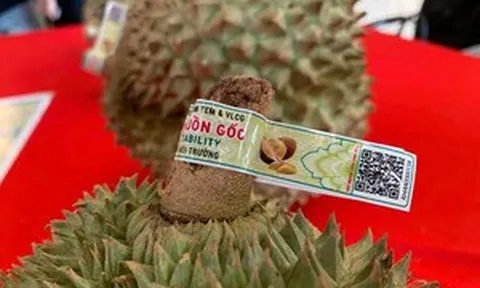 Một loại quả đặc sản của Việt Nam 'làm mưa làm gió' tại quốc gia đông dân nhất thế giới
