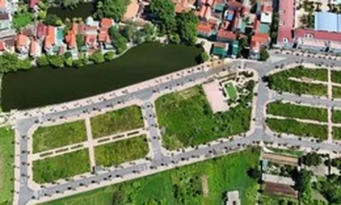 Muốn giảm đầu cơ đất, phải đánh thuế mạnh đất bỏ hoang