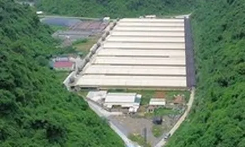 Khởi tố vụ án tai nạn lao động làm 5 người chết tại trại nuôi heo ở Thanh Hóa