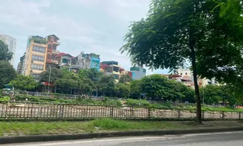 Chồng luôn đi đổ rác lúc 22h và bí mật từ tòa nhà đối diện