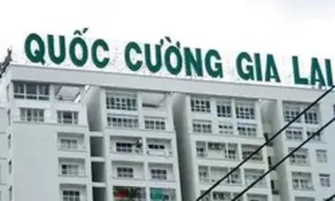 Quốc Cường Gia Lai còn nợ bà Trương Mỹ Lan bao nhiêu tiền?