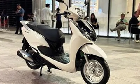Cập nhật bảng giá xe Honda Lead chi tiết và mới nhất tháng 8/2026