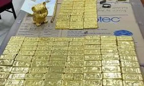 Hàng trăm miếng vàng thu giữ tại nhà bạn gái Mr Pips định giá hơn 222 tỷ đồng