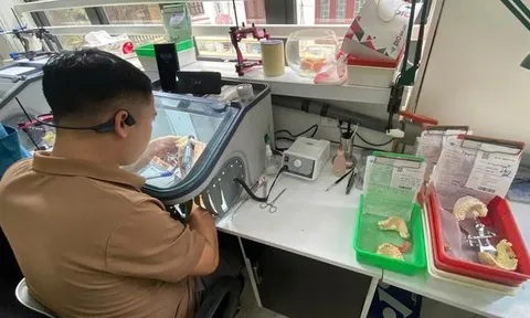 Hà Nội kiểm tra loạt cơ sở sản xuất, kinh doanh răng giả, xử phạt hơn 1,3 tỷ đồng