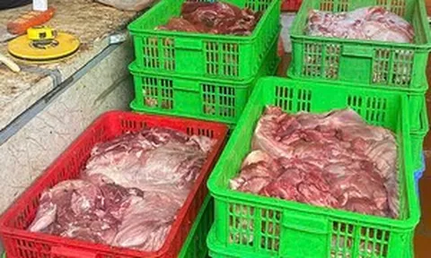 Lời thú nhận gây sốc của chủ cơ sở với gần 1 tấn thịt heo nhiễm dịch vừa bị phát hiện