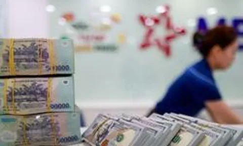 Lãi suất ngân hàng 4/8 tại Agribank, Vietcombank, BIDV, VietinBank, MB, Sacombank, HDBank,...
