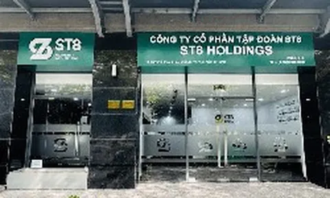 Báo lỗ thành lãi, một tập đoàn bị xử phạt hành chính 125 triệu đồng