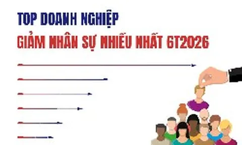 Hơn 6.400 nhân sự rời khỏi báo cáo của 8 ngân hàng, 14 DN đứng đầu đã giảm 21.730 lao động