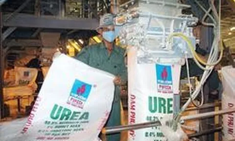 Đạm Phú Mỹ (DPM) bất ngờ "rót" hơn 130 tỷ đồng cho một khoản chi hiếm thấy