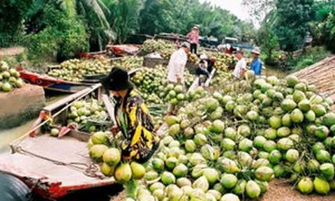 Không phải sầu riêng, loại quả này đang thâu tóm thị trường Trung Quốc và Mỹ