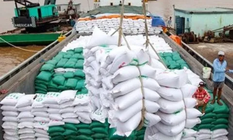 Thị trường mua gần một nửa gạo Việt ra quyết định bất ngờ, doanh nghiệp xuất khẩu hưởng lợi