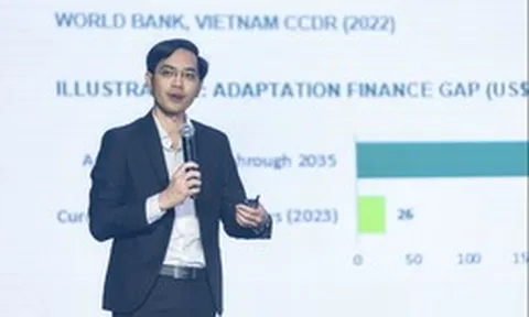 Việt Nam cần 700 tỉ USD cho lộ trình Net Zero đến năm 2050