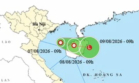 Áp thấp nhiệt đới hình thành ở vịnh Bắc Bộ, bão Dolphin đang quét qua phía nam Nhật Bản
