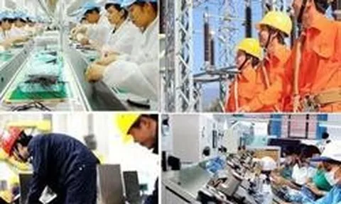 Tiêu chí phân loại doanh nghiệp để thực hiện cơ cấu lại vốn nhà nước tại doanh nghiệp