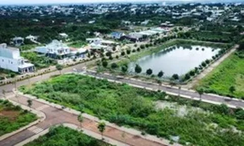 Thanh tra truy thu 15 tỉ đồng đặt cọc đấu giá đất tại Gia Lai