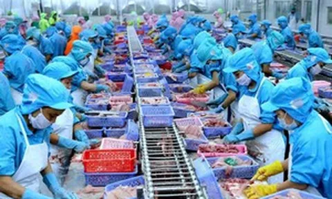 Một mặt hàng chủ lực của Việt Nam đột ngột chững lại vì đòn thuế 12,5% từ Mỹ