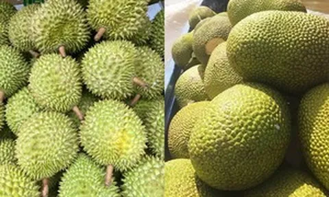 Tin vui bất ngờ từ Trung Quốc dành cho hai loại quả đặc sản của Việt Nam