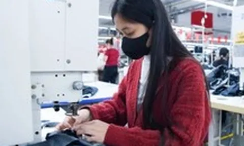 Từ 10-9, quấy rối tình dục tại nơi làm việc bị phạt tới 30 triệu