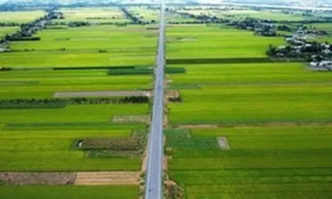 Đi theo tuyến đường ven sông Tiền 'chia lửa' cho quốc lộ 50