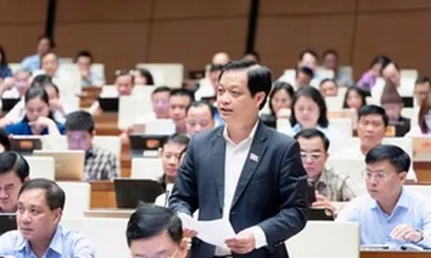 Đại biểu Quốc hội đề nghị làm rõ ‘tỷ lệ an toàn khác’ trong lĩnh vực ngân hàng