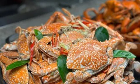 'Lộc biển' của Việt Nam khiến người Mỹ mê mẩn, một mình ôm trọn thị trường