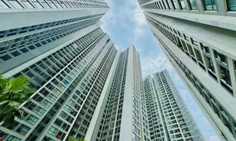 Tôi trăn trở chuyện tái hợp khi biết chồng cũ có một thói quen hậu ly hôn