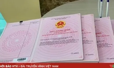 Đất nhận chuyển nhượng lâu năm, mất giấy tờ gốc: Làm sao để cấp sổ?