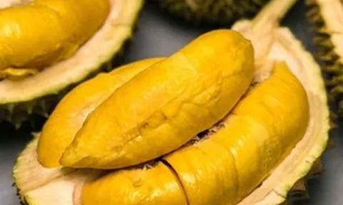 2 thị trường đông dân nhất thế giới cùng 'săn' sầu riêng Việt, một nơi đã chi gần 1 tỷ USD