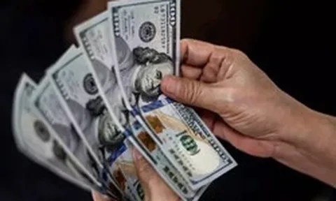 Vì sao giá USD lao dốc?