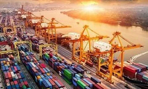 Trung Quốc giảm nhập khẩu, Mỹ ồ ạt đưa một mặt hàng vào Việt Nam: thuế nhập khẩu 0%, nước ta tiêu thụ đứng thứ 3 thế giới