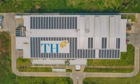 Chị em Chủ tịch công ty mía đường 120 tỷ bán hơn 50% vốn cho Tập đoàn TH