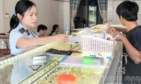 Cơ quan chức năng phát hiện 17 vụ việc có dấu hiệu vi phạm sau khi kiểm tra hàng loạt tiệm vàng tại Vĩnh Long