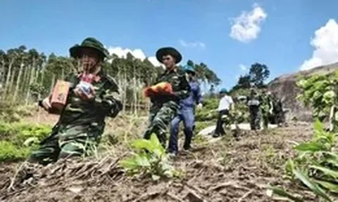 Quy tập hài cốt liệt sĩ ở núi Cư Jú cùng di vật túi tài liệu, dây điện thông tin, tuýp kem đánh răng