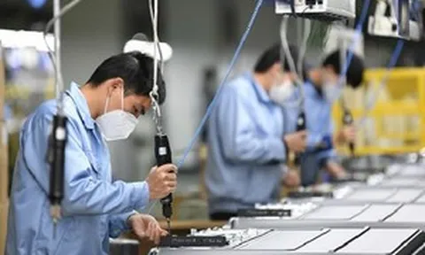 Từ 10/9, chậm lương, ép làm thêm giờ đều bị phạt nặng, người lao động cần biết để không bị thiệt