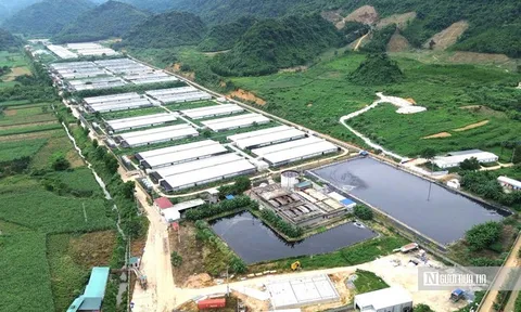 Tỉnh Thanh Hóa vào cuộc vụ sông Ngang chuyển màu đen