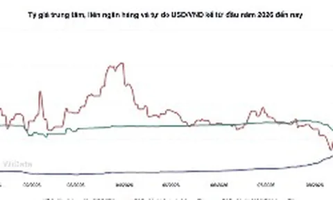 Tỷ giá trung tâm giảm, áp lực USD chưa hạ nhiệt
