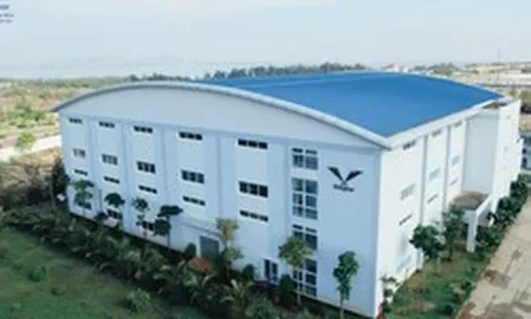 Bidiphar chốt ngày chia cổ tức bằng tiền mặt tỷ lệ 20%