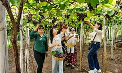 TP.HCM đẩy mạnh liên kết vùng, tìm sản phẩm mới cho du lịch