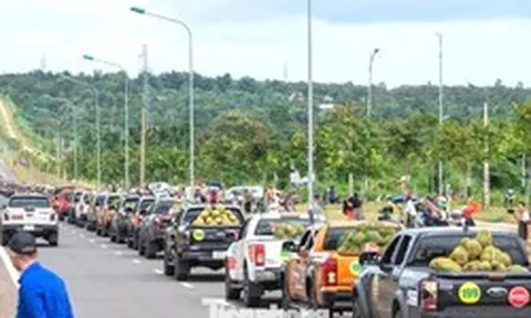 Đoàn xe chở sầu riêng 'độc nhất vô nhị' tại Đắk Lắk